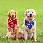 American Flag Bandanas for Dogs and Cats - 4 Pack