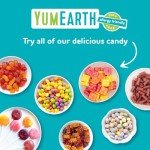 YumEarth Organic Chewy Candy - Allergy Friendly Treats