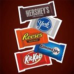 Hershey's Assorted Chocolate Snack Size Party Pack