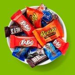 Hershey's Assorted Chocolate Snack Size Party Pack