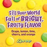 Wonka Spree Original Hard Candy - 12 Ounce Bag