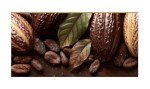 Caramel-Filled Dark Chocolate Truffles – 10 Count
