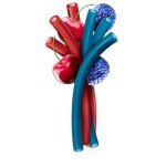 Blue Raspberry & Cherry Jolly Rancher Rope Candy 6 oz