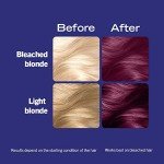 Schwarzkopf Live Color XXL Ultra Violet Hair Dye