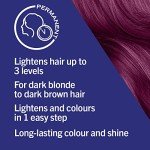 Schwarzkopf Live Color XXL Ultra Violet Hair Dye