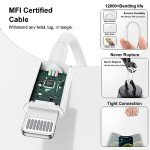 2-Pack 20W MFi Fast Chargers with Cable