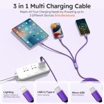 3-in-1 USB A & C Charging Cable (2 Pack)