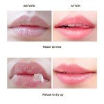 Honey Lip Mask and Scrub for Soft Lips
