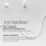Moisturizing Toner with Rice Extract - Glow Essence