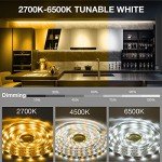 6-Pack Dimmable LED Under Cabinet Strip Lights
