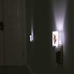 Affordable Red Coral LED Night Light with Sensor