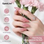 Dusty Rose Quick Dry Nail Polish 16.5ml