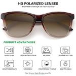 Retro Polarized Sunglasses for Men and Women