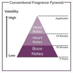Paris Amour Fine Fragrance Mist - 8 fl oz