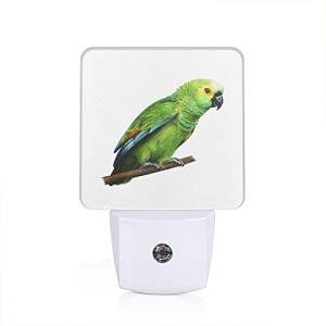 TifyDon LED Dusk to Dawn Parrot Night Light