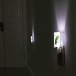 TifyDon LED Dusk to Dawn Parrot Night Light