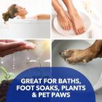 Dr Teal's Fragrance-Free Epsom Salt, 4 lbs