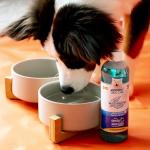 Pet Dental Water Additive for Fresh Breath 32 oz