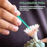100Pcs Vegetable Pollination Tool Set for Gardens