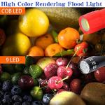 5 Pack Mini LED Flashlights for Kids