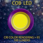 5 Pack Mini LED Flashlights for Kids