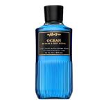 Ocean 2-in-1 Hair and Body Wash for Men