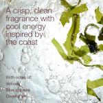 Ocean 2-in-1 Hair and Body Wash for Men