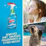 Windex Glass Cleaner Spray - 23 Fl Oz