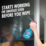 Windex Glass Cleaner Spray - 23 Fl Oz