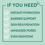 Calming Face Serum with Cica and Niacinamide