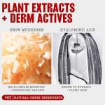 Thayers Hydrating Face Toner with Snow Mushroom