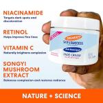 Palmer's Skin Success Anti-Dark Spot Cream, 2.7 oz