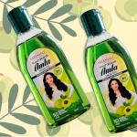 Patanjali Amla Hair Oil 100ml