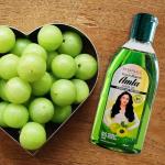 Patanjali Amla Hair Oil 100ml