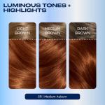 Clairol Nice 'N Easy Permanent Hair Color 5R