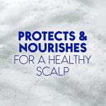 Head and Shoulders Classic Clean 2-in-1 Shampoo