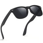 Polarized Retro Sunglasses for Men and Women
