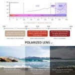 Polarized Retro Sunglasses for Men and Women