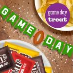 M&M'S Fun Size Variety Pack - Bulk Candy