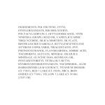 Black Radiance Lip Gloss - Caramel Kiss 0.4oz