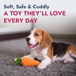 Durable Plush Dog & Cat Squeaky Toy - Carrot