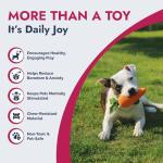 Durable Plush Dog & Cat Squeaky Toy - Carrot