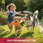 Durable Plush Dog & Cat Squeaky Toy - Carrot