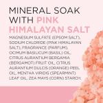 Dr Teal's Epsom Salt Soak with Himalayan Pink Salt