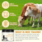 Nourishing Beef Tallow and Honey Skin Cream 2 OZ