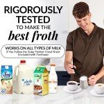 Mini Stainless Steel Milk Frother Wand - Black