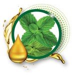 Ruby Kisses Lip Oil & Broadway Lip Gloss Set