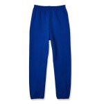 Hanes Boys' Eco Smart Pants in Deep Royal