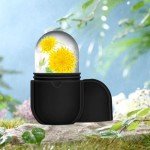 Face Ice Roller & Silicone Mold Set (Black)