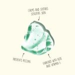 Aloe Vera Gel for Soothing Sunburn Relief